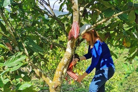 Chokladfarmens privata rundtur i Medellin: Verklig äkta upplevelse