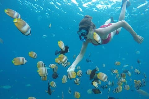 5D / 4N (vandrerhjem) Backpacker Lombok Tour Package
