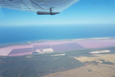 Pink Lake - Hutt Lagoon Kalbarri