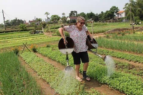 Découvrez les jardins potagers de Tra Que - Journée complète