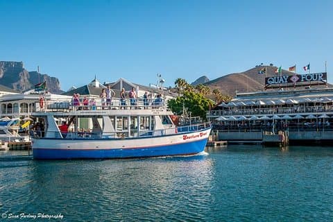 Half Hour Seal and Harbour Cruise from Cape Town