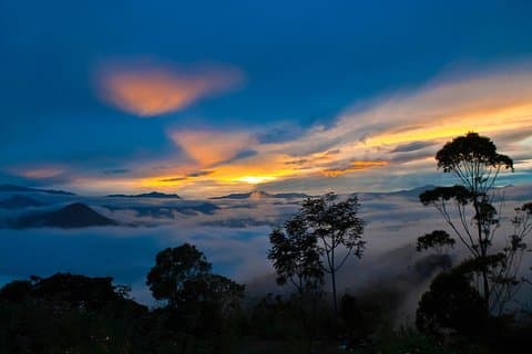 Full Day Mindo - Cloud Forest from Quito