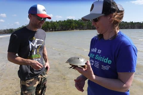 10,000 Islands Excursion 3.5 hour Dolphin & Shelling Boat Tour