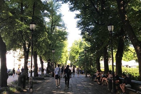 Oslo Easy Walk 2 horas