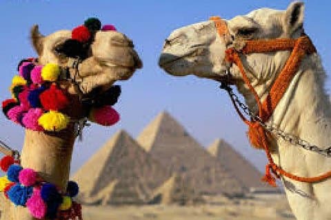 King Tut Egypt: 6 jours de visites guidées au Caire et à Louxor et train de nuit