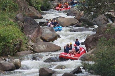 Rafting 5 km, ATV 30 Mins, Fly Fox and Jungle Tour From Phuket