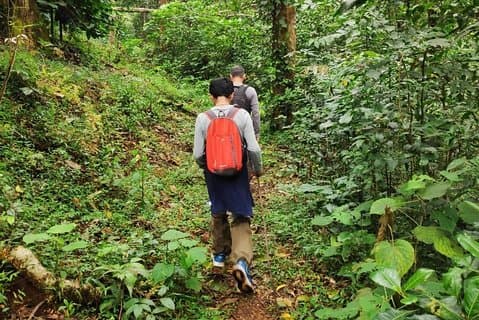 Wayanad Walking Holiday