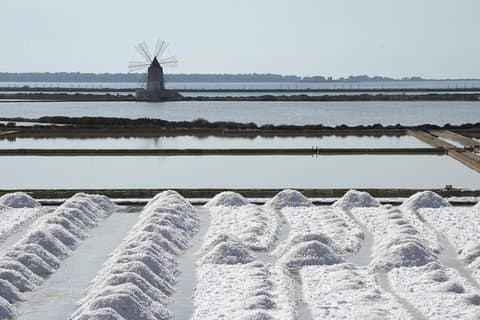 Afternoon Saline Tour