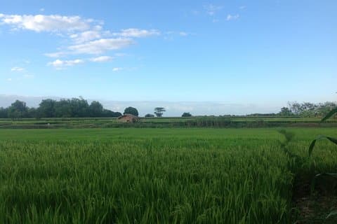 Excursão privada em microônibus de Clark aos terraços de arroz de Batad - 6 dias -