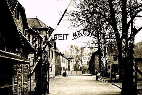 Auschwitz-Birkenau rondleiding & skip the line Tickets & Transfer
