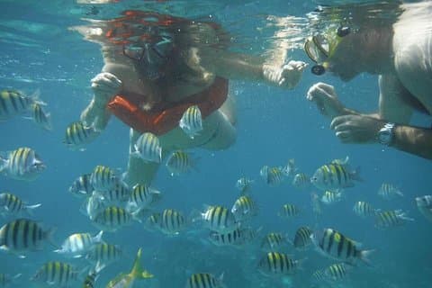 Pranzo a base di aragosta di Negril a Booby Cay e snorkeling presso un cannone affondato