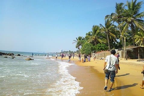 Excursion d'une journée à Negombo au départ de Kandy par Lux Tours Lanka