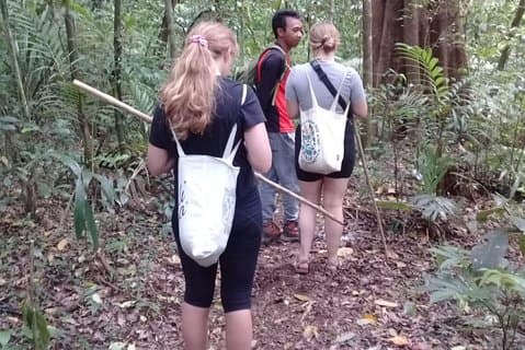 Kombinert av Tamblingan Waterfall og Twin Lake Tour