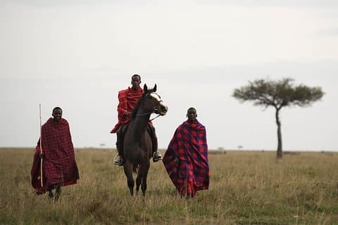 Safari photographique Black Panther