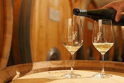 Umbria Wine Tour and Tasting in Torgiano.