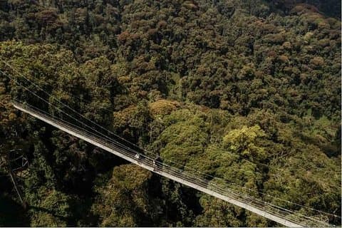 1 dags Canopy Walk Adventure i Nyungwe Forest National Park