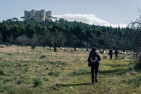 Castel del Monte: excursion in the Alta Murgia National Park