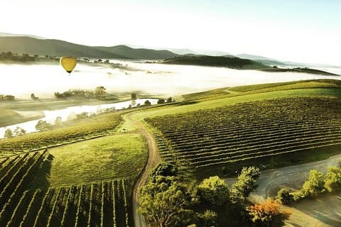 [PRIVATE TOUR] Tour zu den Weingütern von Mount Dandenong und Yarra Valley