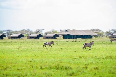 3 dages safari til Lake Manyara, Tarangire og Ngorongoro krater