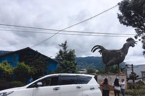 2 days VIP Special Tour - Exploring Dalat City, countryside and waterfalls