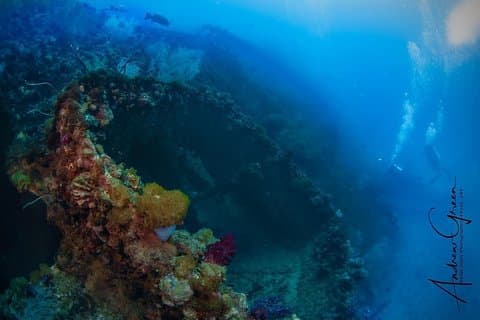 Plongez l'épave du S.S. Yongala sur la Grande Barrière de Corail.