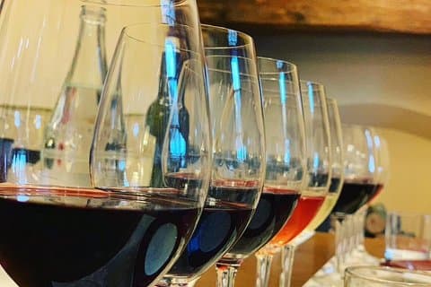 Hire your Local Wine Guide in Bolgheri for private tastings