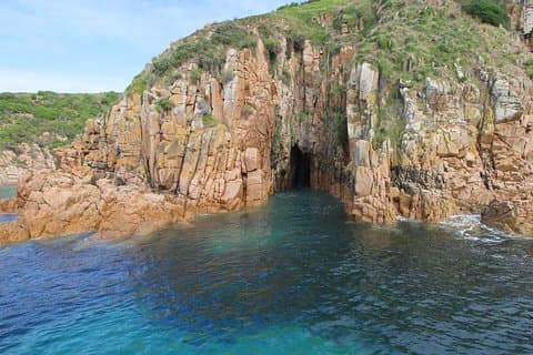 Cape Woolamai Sightseeing Cruise från San Remo