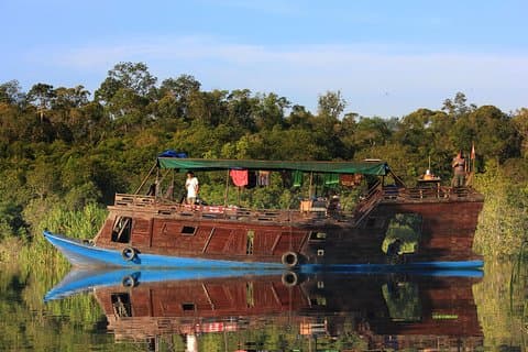 3ns Private Orangutan and Bornean Primates Kelotok Tour