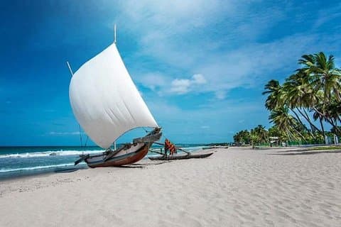 Tour di un giorno privato della città e del villaggio di pescatori di Negombo da Colombo