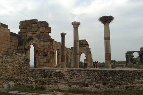 Privé dagtocht - drie steden op één dag: Meknes-Volubilis & Moulay Idriss