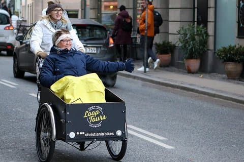 プライベートコペンハーゲンファミリーカーゴバイクツアー