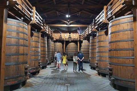 Visite des vignobles de l'Etna - Petits groupes de Taormina