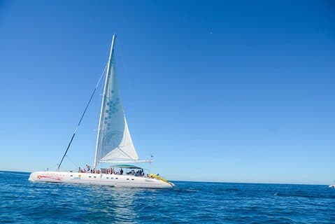 Punta Cana : Excursión de un día a la Isla Saona