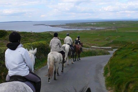Paardrijden - bergpad. Lisdoonvarna, Co Clare. Guided. twee uur.