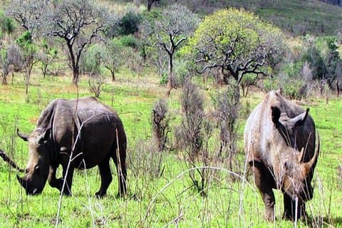 2 Days Safari Tour