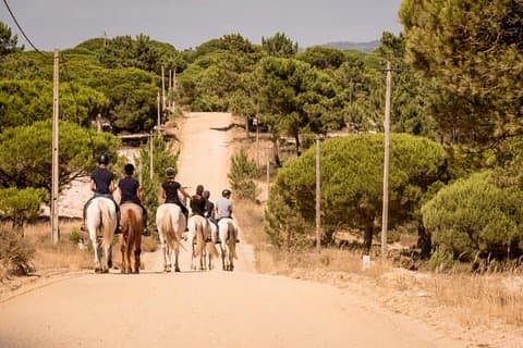 Private Alentejo Tour with Lunch and Horseback Ride along Melides Beach