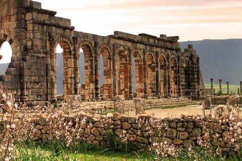 Utflukter Volubilis - Moulay Idriss - Meknès (avgang Fès)