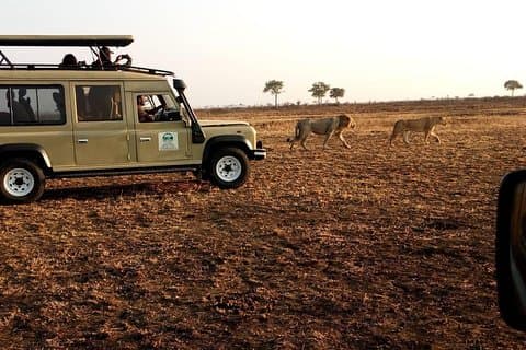 7Dage 6 nætter Privat Budget Safari til Southern Circuit