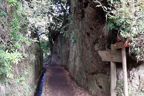 Madeira: Private 1.5-Kilometer Levada dos Balcões Hike PR11