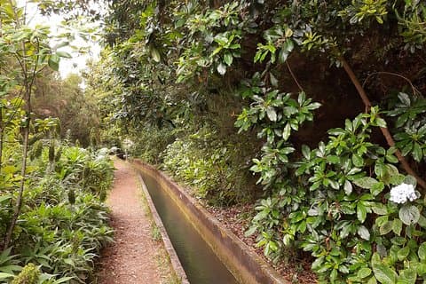Passeio Privado Guiado Levada Fajã dos Rodrigues meio dia