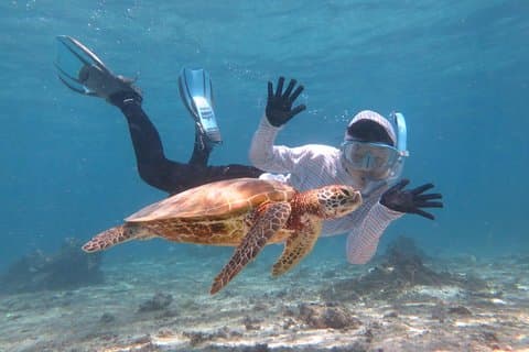 [Snorkel en Miyakojima] Tour privado para más de 2 personas ¡Busquemos tortugas marinas! Tour de snorkel que se puede disfrutar a partir de 3 años