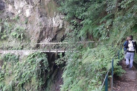 Privat tjänst VIP Levada dos Cedros - Fanal Walk