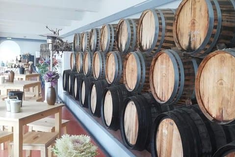 Vintur Oppdag historien og smakene til de beste vingårdene i Lisboa-regionen