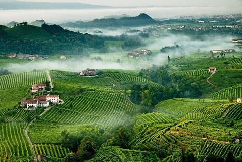 Franciacorta Wines & Bergamo aus Mailand - Private Tour