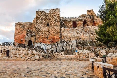 Jerash and Ajloun Castle Day Tour from Amman