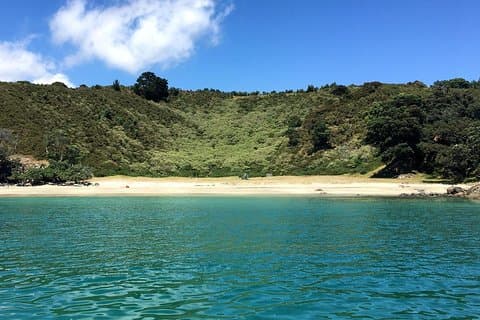 Ilha Waiheke Bush & Beach Walk