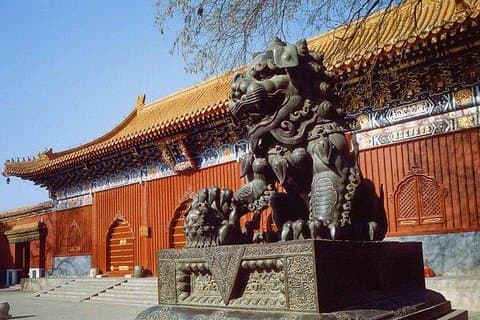 Excursão privada de um dia: Palácio de Verão, Templo do Lama e Experiência Hutong