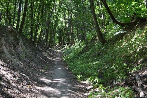 Randonnée privée à Kiev dans la forêt Holosiivsky et l'ermitage de Kitaevskaya