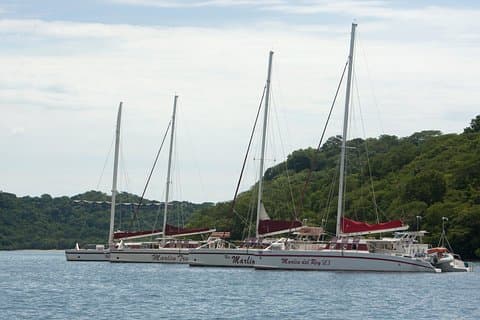 Excursão privada de catamarã