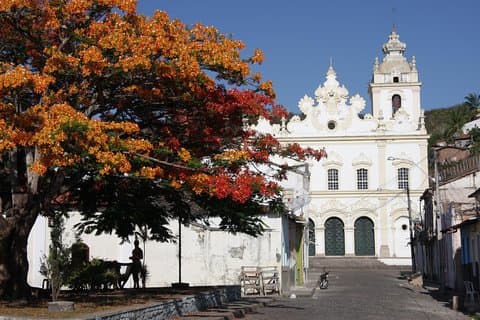 Ivan Bahia, Cachoeira & Recôncavo Cultural Heritage full day-tour from Salvador